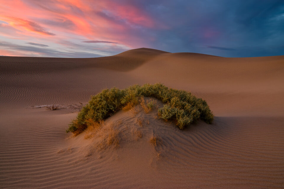 死亡谷国家公园的沙丘图像，用于查看EXIF数据。