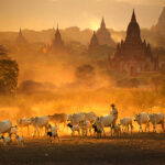1.Kyaw-Kyaw-Winn_Bagan_Myanmar_Luminous-Journeys-Photo-Tours