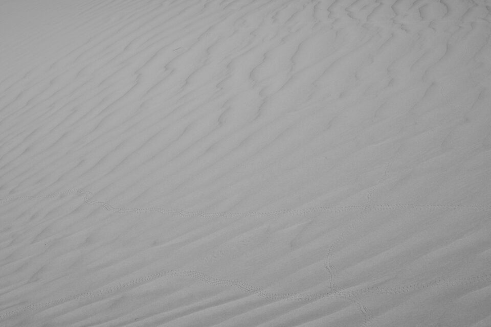 沉闷的黑白照片沙丘没有主题分离