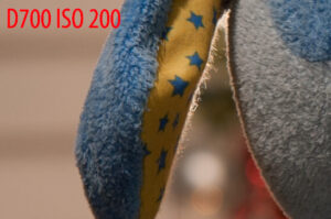 尼康D700 ISO 200 vs DX
