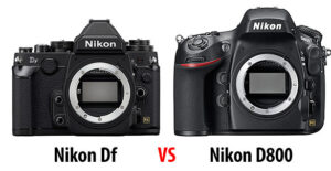 尼康Df vs D800