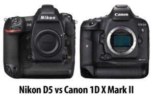 尼康D5 vs佳能1D X Mark II