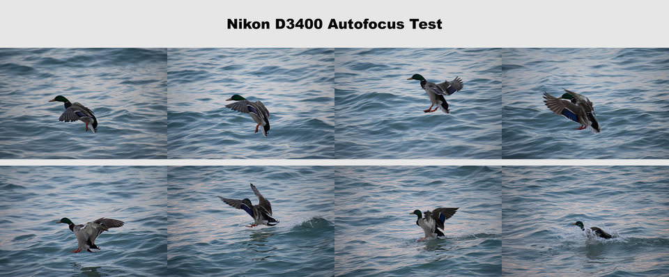 尼康D3400自动对焦测试