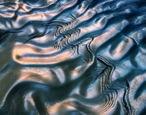 泥中的图案，帕里亚峡谷-朱米利安悬崖荒野区，犹他州1985_©版权所有©2006 William Neill